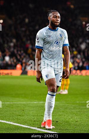 24 avril 2024 ; stade Molineux, Wolverhampton, West Midlands, Angleterre; premier League Football, Wolverhampton Wanderers contre Bournemouth ; Antoine Semenyo de l'AFC Bournemouth Banque D'Images