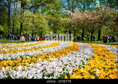 21 avril, lisse. Keukenhof est également connu comme le jardin de l'Europe l'un des plus grands jardins de fleurs du monde et est situé à lisse, aux pays-Bas. En plus des millions de tulipes, jonquilles et jacinthes dans le parc, les spectacles de fleurs à l'intérieur des pavillons sont devenus plus grands et plus beaux. Banque D'Images