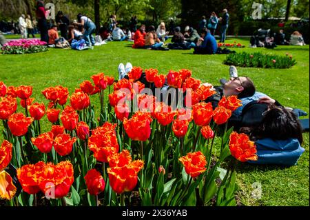 21 avril, lisse. Keukenhof est également connu comme le jardin de l'Europe l'un des plus grands jardins de fleurs du monde et est situé à lisse, aux pays-Bas. En plus des millions de tulipes, jonquilles et jacinthes dans le parc, les spectacles de fleurs à l'intérieur des pavillons sont devenus plus grands et plus beaux. Banque D'Images