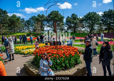 21 avril, lisse. Keukenhof est également connu comme le jardin de l'Europe l'un des plus grands jardins de fleurs du monde et est situé à lisse, aux pays-Bas. En plus des millions de tulipes, jonquilles et jacinthes dans le parc, les spectacles de fleurs à l'intérieur des pavillons sont devenus plus grands et plus beaux. Banque D'Images