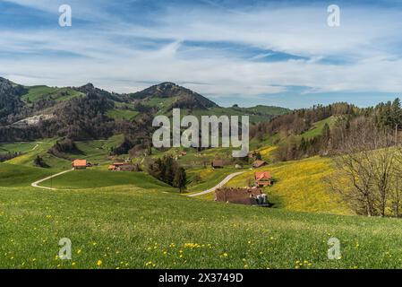 Paysage vallonné dans l'Appenzellerland avec des fermes et des prairies de pissenlits au printemps, canton d'Appenzell Innerrhoden, Suisse Banque D'Images