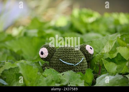 Jouet grenouille tricoté mignon dans le jardin Banque D'Images