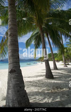 Malcapuya Island est une destination touristique située dans Palawan, Philippines. C'est une petite île avec de grands cocotiers et une plage de sable blanc Banque D'Images