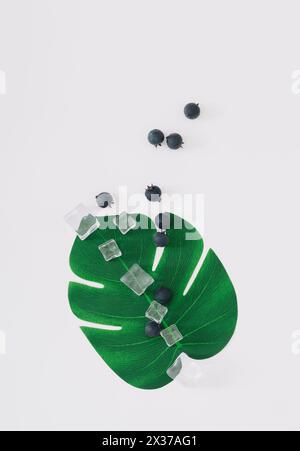 Disposition estivale créative faite de bleuets, de feuilles de monstera tropicales vertes et de glaçons sur fond blanc. Concept minimal de fruit. Banque D'Images