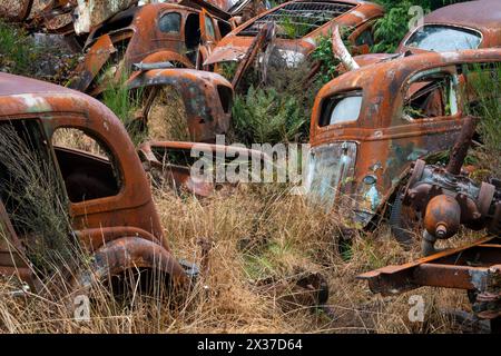 Véhicules abandonnés à la déchirure de Crash Palace, Horopito, Waimarino, Île du Nord, Nouvelle-Zélande Banque D'Images