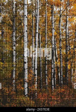 Arbres verticaux dans les couleurs de l'automne avec un effet artistique mettant en valeur le bel automne Banque D'Images