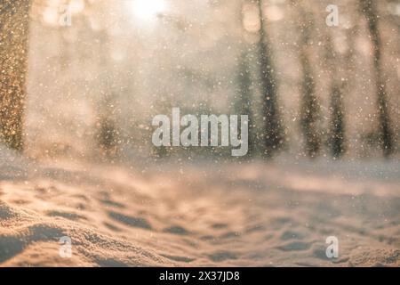 Neige tombante avec un doux bokeh dans une forêt d’hiver dorée sous la lumière chaude du lever du soleil. Lueur magique enneigée. Nature froide saisonnière, paysage forestier paisible et blanc Banque D'Images