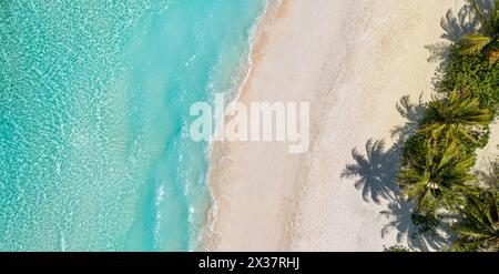 Incroyable plage de l'île. Maldives vue aérienne paysage tropical tranquille bord de mer avec des palmiers sur la plage de sable blanc. Rivage nature exotique, luxe Banque D'Images