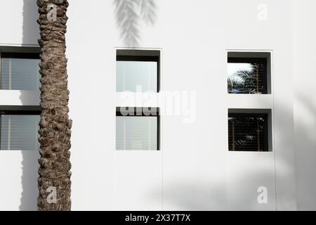 Date palmier tronc et ombre de palmier laissés sur le mur blanc par les fenêtres a l'Hôtel Chedi Muscat Oman Banque D'Images