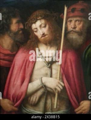 Ecce Homo, c.1500-1530, Musée Wallraf-Richartz, Cologne Luini Bernardino Banque D'Images