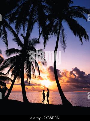 Maldives. Silhouette de coucher de soleil de plage tropicale de jeune couple romantique sous les palmiers de noix de coco. Banque D'Images