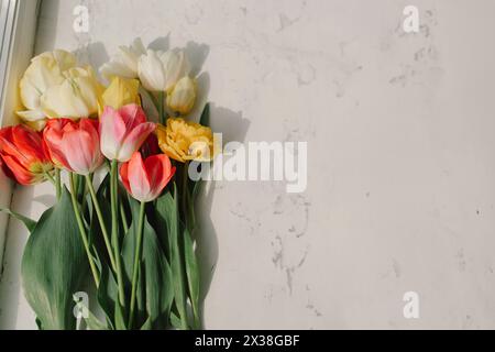 Assortiment coloré de tulipes Banque D'Images
