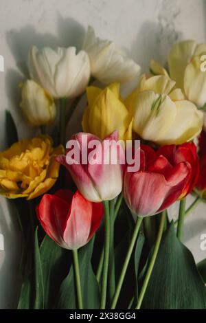 Assortiment coloré de tulipes Banque D'Images