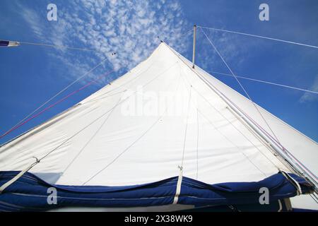 Grande voile blanche de yacht moderne naviguant sur la rivière à la journée ensoleillée d'été Banque D'Images