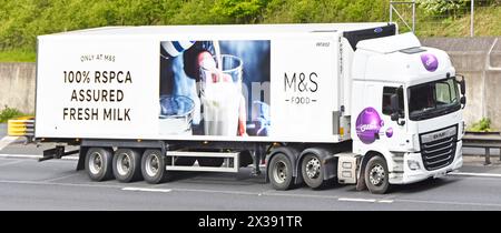 M&S Gist DAF camion poids lourd vue latérale remorque articulée promouvant le lien d'affaires M&S Food avec RSPCA Assured Resh Milk production Essex England UK Banque D'Images