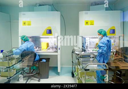 Préparation de médicaments dans la hotte à flux laminaire, anesthésie péridurale, salle blanche, pharmacie, Hôpital Donostia, Saint-Sébastien, Gipuzkoa, pays Basque, Spai Banque D'Images