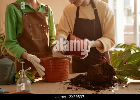 Plan recadré de deux jeunes femmes rempotant la plante ensemble debout à table dans le magasin de fleurs, espace de copie Banque D'Images