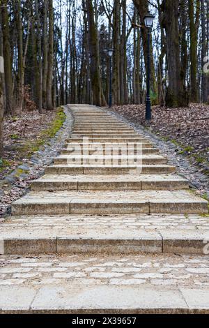 escalier fait de pavés en pierre dans le parc, photo verticale Banque D'Images