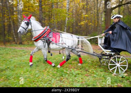 Coachman in Cloak est assis dans l'autocar avec le cheval et tenir les rênes dans le parc d'automne Banque D'Images