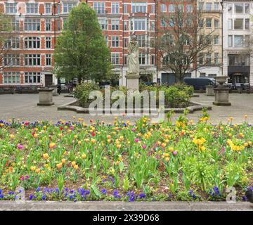 Parterre de tulipes à Golden Square, Soho, Londres, Angleterre, un jour de printemps. Banque D'Images