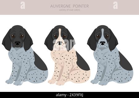 Cliquez sur le pointeur Auvergne. Différentes poses, couleurs de couche définies. Illustration vectorielle Illustration de Vecteur