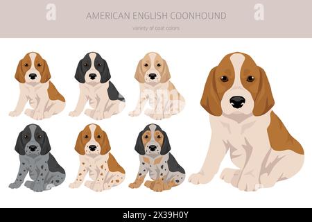 American englisn coonhound chiot toutes les couleurs clipart. Différentes couleurs de manteau définies. Illustration vectorielle Illustration de Vecteur