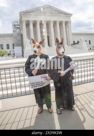 Washington, DC, États-Unis. 25 avril 2024. Les partisans et les opposants à l’ancien président Donald Trump se rassemblent à la Cour suprême des États-Unis alors que les juges de la Cour suprême entendent des arguments oraux concernant le rôle de l’immunité de poursuites pénales de l’ancien président Trump à Washington, DC, le 25 avril 2024. Crédit : Patsy Lynch/Media Punch/Alamy Live News Banque D'Images