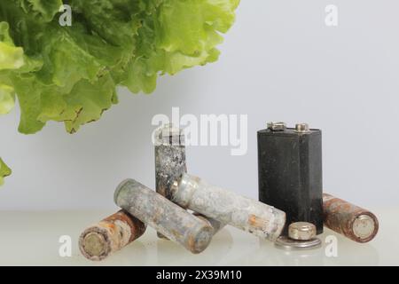 Piles usagées et laitue verte poussant dans un pot. Recyclage des piles usagées. Protection de l'environnement. Jour de la Terre. Banque D'Images