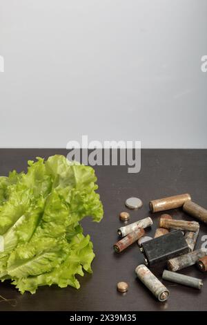 Piles usagées et laitue verte poussant dans un pot. Recyclage des piles usagées. Protection de l'environnement. Jour de la Terre. Banque D'Images