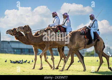 Amiri Diwan et Palace Guard chameaux, Doha, Qatar. 15-04-2024 Banque D'Images