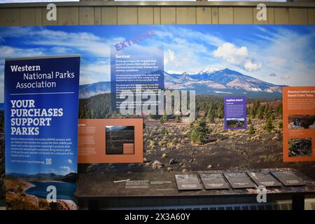 Flagstaff, Arizona. ÉTATS-UNIS 3/20/2024. Monument national du volcan Sunset Crater. Ce cône de cendre de 1 120 pieds de haut est entré en éruption autour de AD 1085 laissant de la lave Banque D'Images