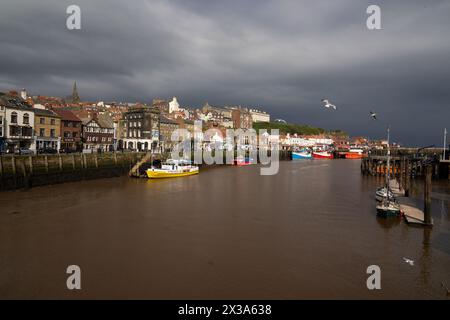 Bateaux de plaisance dans le port de la station balnéaire de la côte est de Whitby, North Yorkshire. Banque D'Images