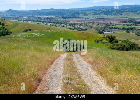 Coyote Ride Open Space Banque D'Images