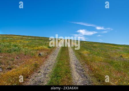 Coyote Ride Open Space Banque D'Images