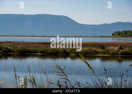 Delta de Neretva, Croatie - 17 septembre 2023 - vue du Delta de Neretva et de la mer Adriatique, Croatie. Banque D'Images