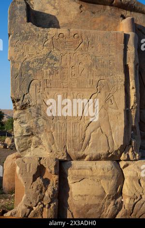 Un panneau latéral avec deux images en relief flanquées de la divinité Hapi sur l'un des colosses de Memnon sur la Cisjordanie de Louxor, en Égypte Banque D'Images