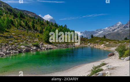 Le pittoresque lac Vert près de Zermatt dans les Alpes suisses. Banque D'Images