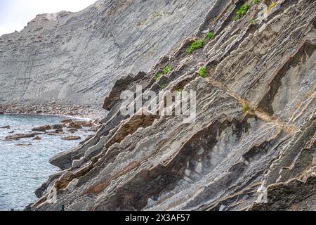 Couches fortement inclinées de Flysch, falaises de Flysch, Côte Basque Géoparc mondial de l'UNESCO, réseau européen de Géoparc, Zumaia, Guipúzcoa, pays Basque, Espagne Banque D'Images