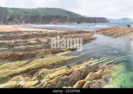 Couches fortement inclinées de Flysch, falaises de Flysch, Côte Basque Géoparc mondial de l'UNESCO, réseau européen de Géoparc, Zumaia, Guipúzcoa, pays Basque, Espagne Banque D'Images