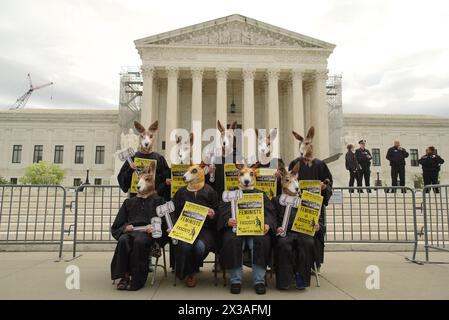 Washington, DC, États-Unis. 25 avril 2024. Des militants en masques de kangourou protestent contre l'ancien président Donald Trump devant la Cour suprême lors de plaidoiries orales sur l'immunité présidentielle. Crédit : Philip Yabut/Alamy Live News Banque D'Images