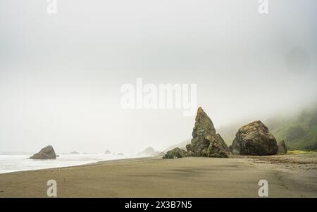 Sea Stacks le long du California Coastal Trail dans le parc national de Redwood Banque D'Images