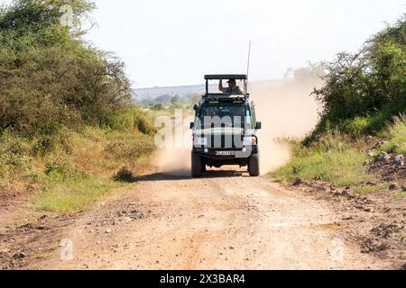 Le VUS avec toit ouvert traverse la savane dans l'après-midi. Safari Game Drive, parc national d'Amboseli, Kenya. 5 février 2024. Banque D'Images