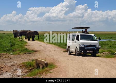 Parc national d'Amboseli, Kenya. 5 février 2024. Touristes en safari minibus observant et prenant des photos de grand éléphant sauvage traversant la route de terre à Ambo Banque D'Images