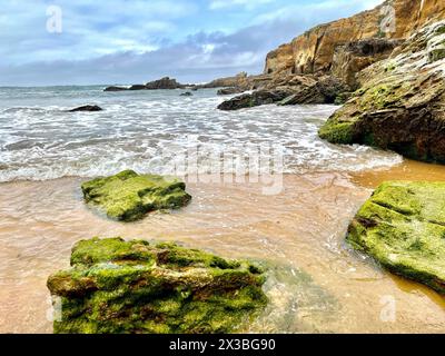 Vue sur les vagues de la mer arrivant à terre sur la plage rocheuse à marée basse dans un paysage de plage Banque D'Images