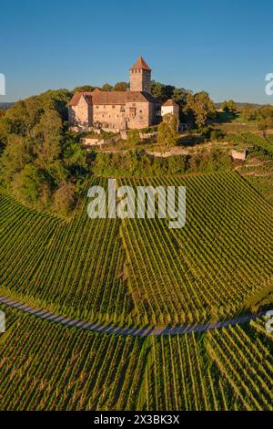 Château de Lichtenberg, Oberstenfeld, Bottwartal, Bade-Wuerttemberg, Allemagne, Oberstenfeld, Bade-Wuertemberg, Allemagne Banque D'Images