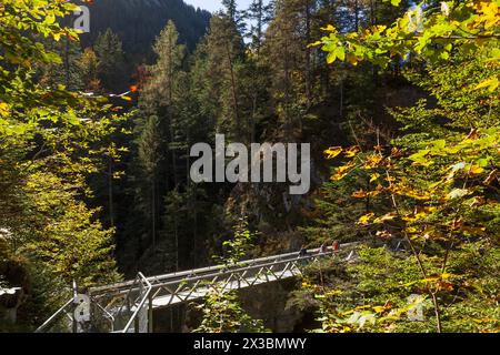 Pont sur les gorges de Leutaschklamm en automne, Mittenwald, Werdenfelser Land, haute-Bavière, Bavière, Allemagne Banque D'Images