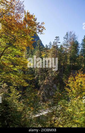 Pont sur les gorges de Leutaschklamm en automne, Mittenwald, Werdenfelser Land, haute-Bavière, Bavière, Allemagne Banque D'Images