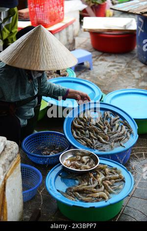 Une vietnamienne vendant des fruits de mer frais au marché central de Hoi an, au Vietnam. Banque D'Images