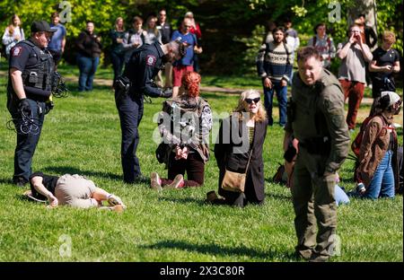 Bloomington, États-Unis. 25 avril 2024. BLOOMINGTON, INDIANA - AVRIL 25 : des dizaines de personnes sont arrêtées par l'équipe anti-émeute de la police d'État de l'Indiana lors d'une manifestation pro-palestinienne sur le campus le 25 avril 2024 à Bloomington, Indiana. Les manifestants avaient installé un camp de tentes à Dunn Meadow à 11 heures du matin et la police leur avait dit de descendre les tentes, sinon ils dégageraient la zone par la force et arrêteraient quiconque ne serait pas parti. Tous les manifestants arrêtés, y compris les professeurs, ont été bannis du campus de l'Université de l'Indiana pendant un an. ( Credit : Jeremy Hogan/Alamy Live News Banque D'Images