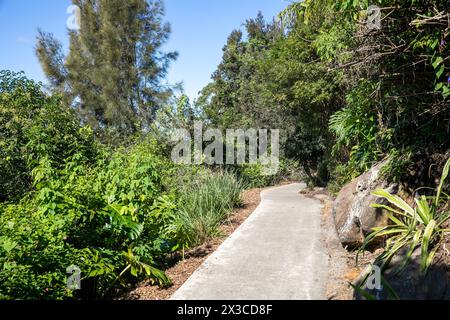 Lex et Ruby Graham Garden, un jardin secret de Sydney sur Cremorne point qui a commencé en 1959 avec un bulbe d'éléphant planté, Nouvelle-Galles du Sud, Australie Banque D'Images